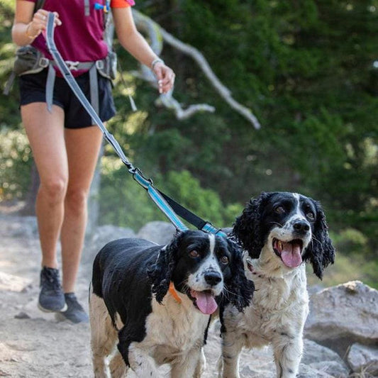 A woman hikes with two dogs using the Kurgo Double Dog Leash Extender on a forest trail.