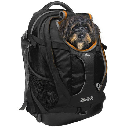 A front view of the Kurgo G-train K9 Pack in Black showing a small dog in the front pocket against a white background.