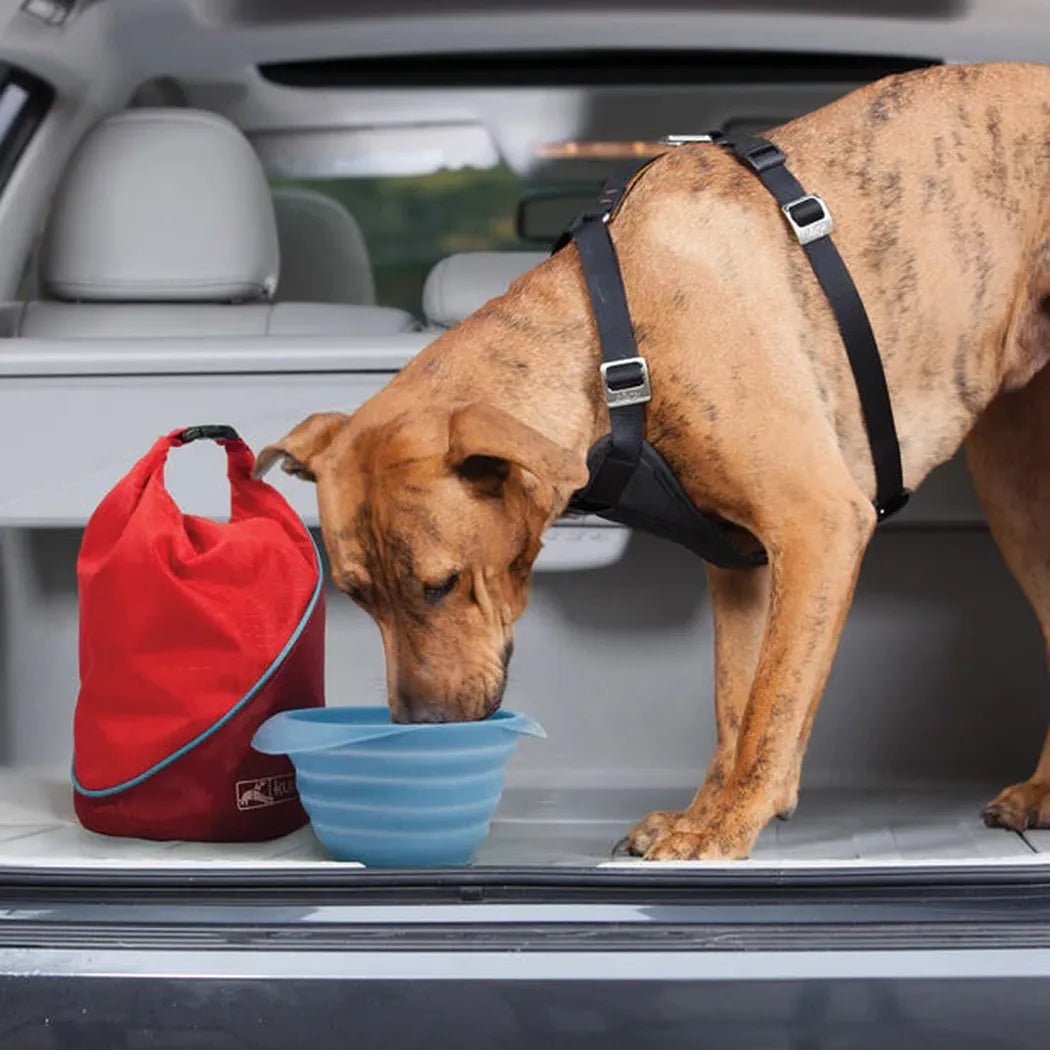 A brown dog in a Kurgo Kibble Carrier drinks from a blue bowl in a car trunk with a Chili Red bag nearby.