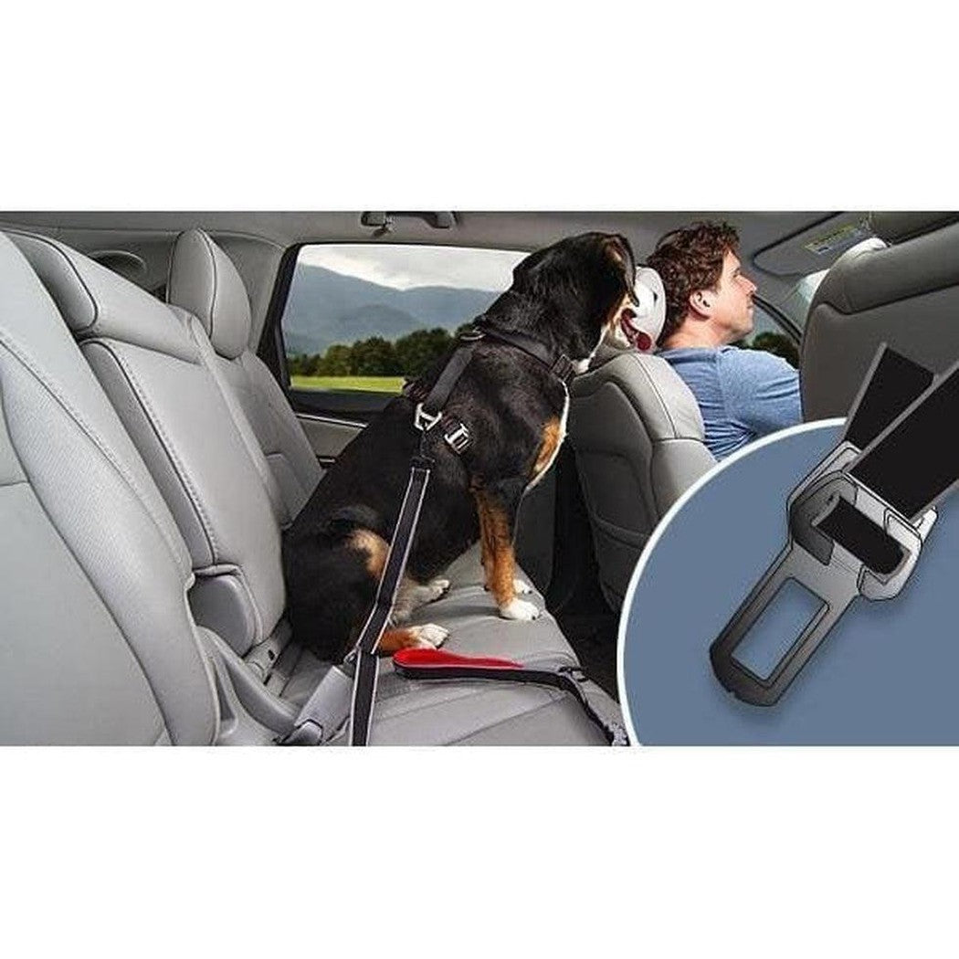 A dog wearing a Kurgo Leash To Seatbelt Buckle sits in a car seat, with a close-up of the buckle visible.