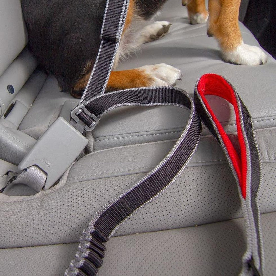 A Kurgo Leash To Seatbelt Buckle in Charcoal/Graphite attached to a car seatbelt with a red-lined handle visible.