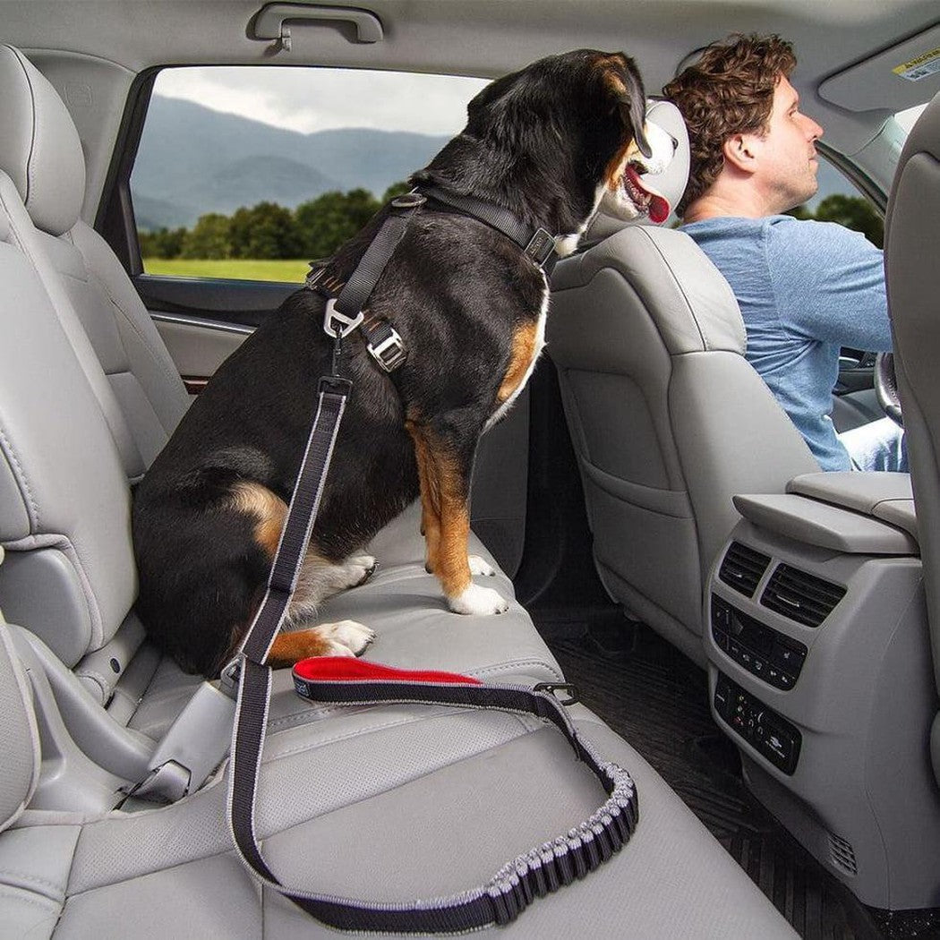 A dog wearing a Kurgo Leash To Seatbelt Buckle sits in the backseat of a car with a driver in the front, against a backdrop of mountains and greenery.