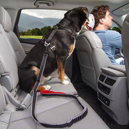A dog wearing a Kurgo Leash To Seatbelt Buckle sits in the backseat of a car with a driver in the front, against a backdrop of mountains and greenery.