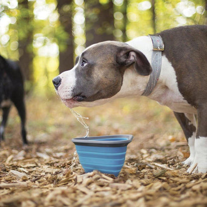Kurgo Mash & Stash Bowl-Pets - Bowls-Appalachian Outfitters
