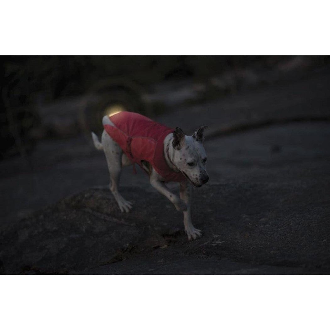 Kurgo North Country Coat-Pets - Apparel-Appalachian Outfitters