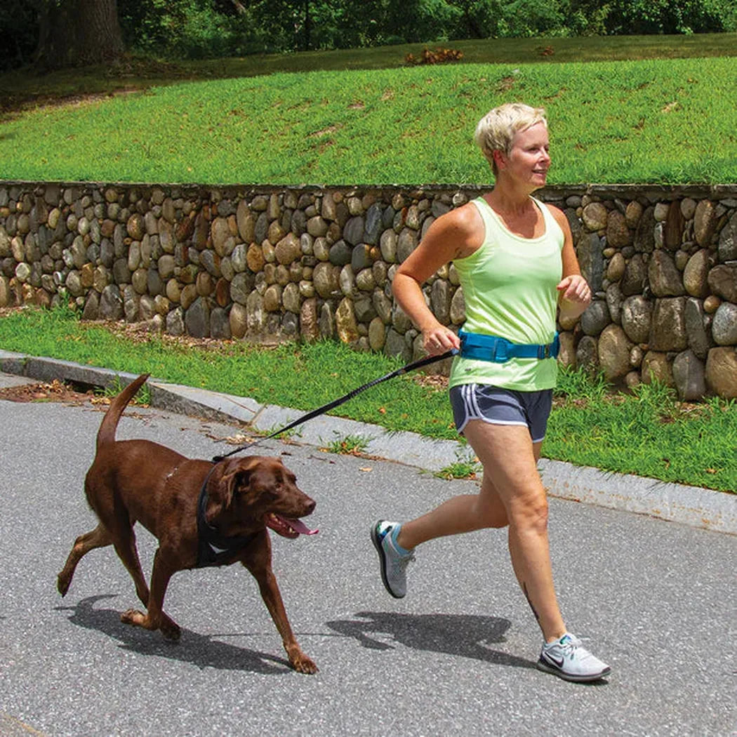 Kurgo RSG Active Utility Belt-Pets - Apparel-Appalachian Outfitters