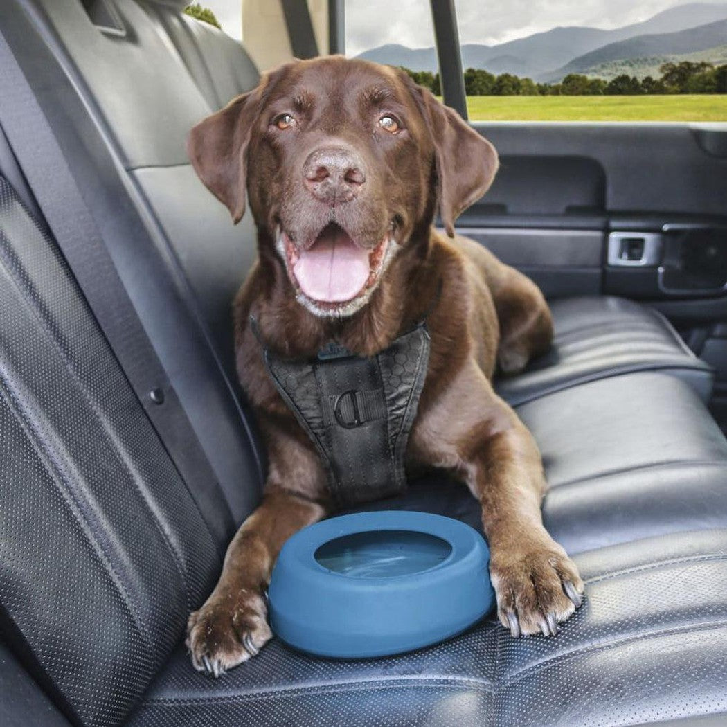 Kurgo Splash Free Wander Bowl-Pets - Bowls-Coastal Blue-Appalachian Outfitters