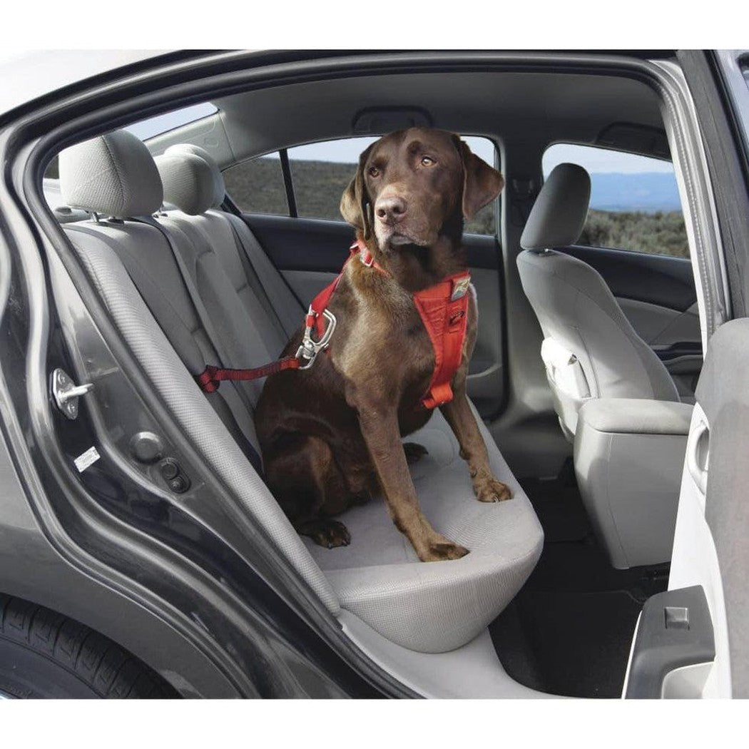 Kurgo Swivel Tether-Pets - Travel - Car Accessories-Appalachian Outfitters