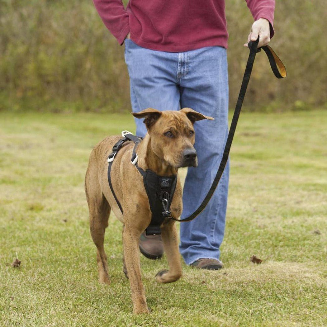 Kurgo Tfs Harness-enhanced Strength-Pets - Travel - Car Accessories-Appalachian Outfitters