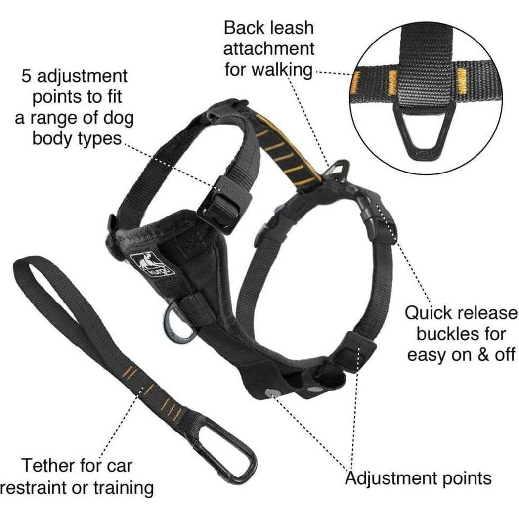 A close-up of the Kurgo Tfs Harness-enhanced Strength in Black showing the back leash attachment and quick release buckles.