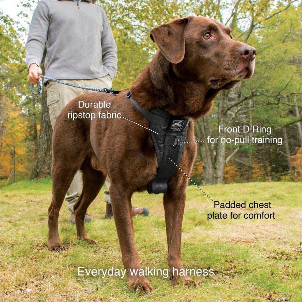 Kurgo Tfs Harness-enhanced Strength-Pets - Travel - Car Accessories-Appalachian Outfitters