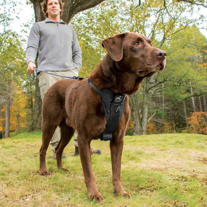 Kurgo Tfs Harness-enhanced Strength-Pets - Travel - Car Accessories-Appalachian Outfitters