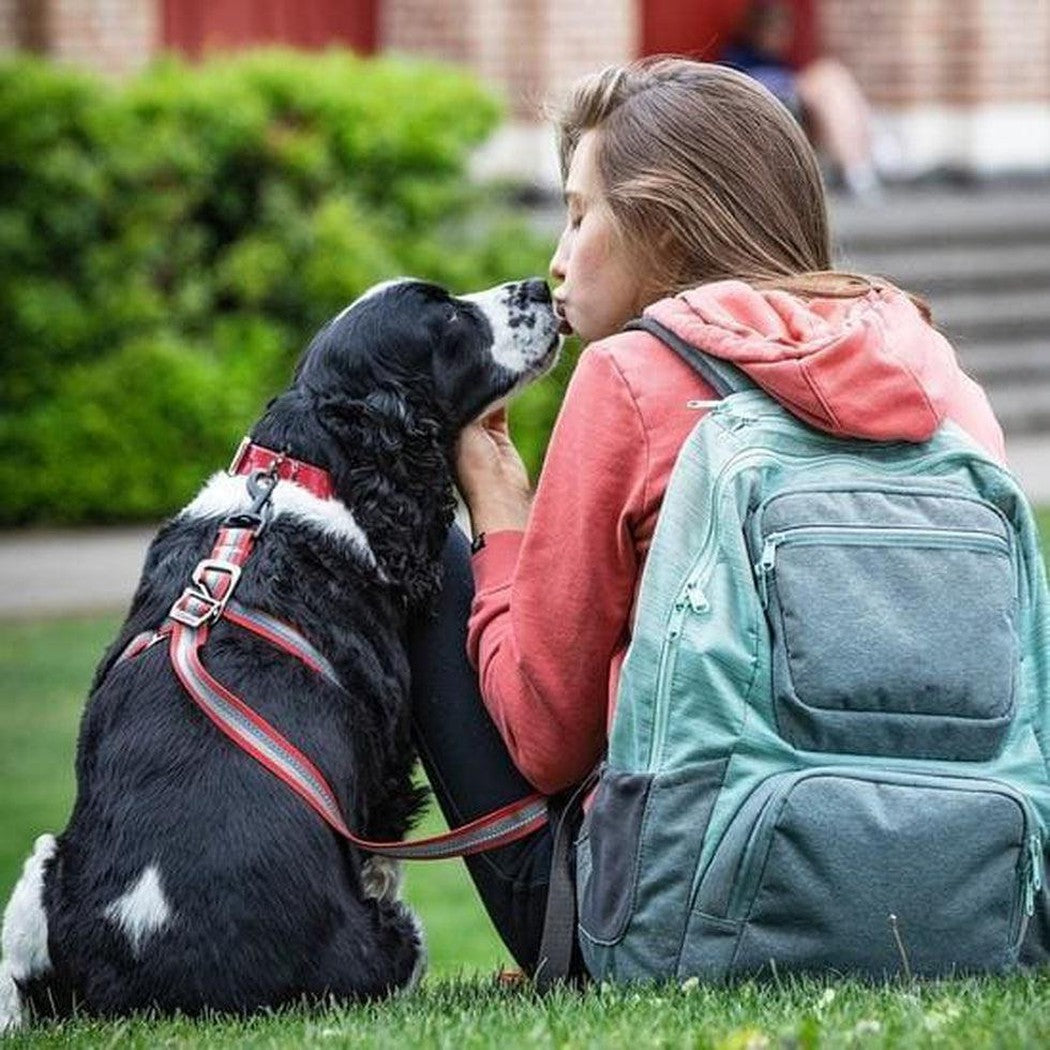 A girl sits on grass with a black dog wearing a Charcoal/Chilli Kurgo Walk About No Pull Leash, her light blue backpack beside her.
