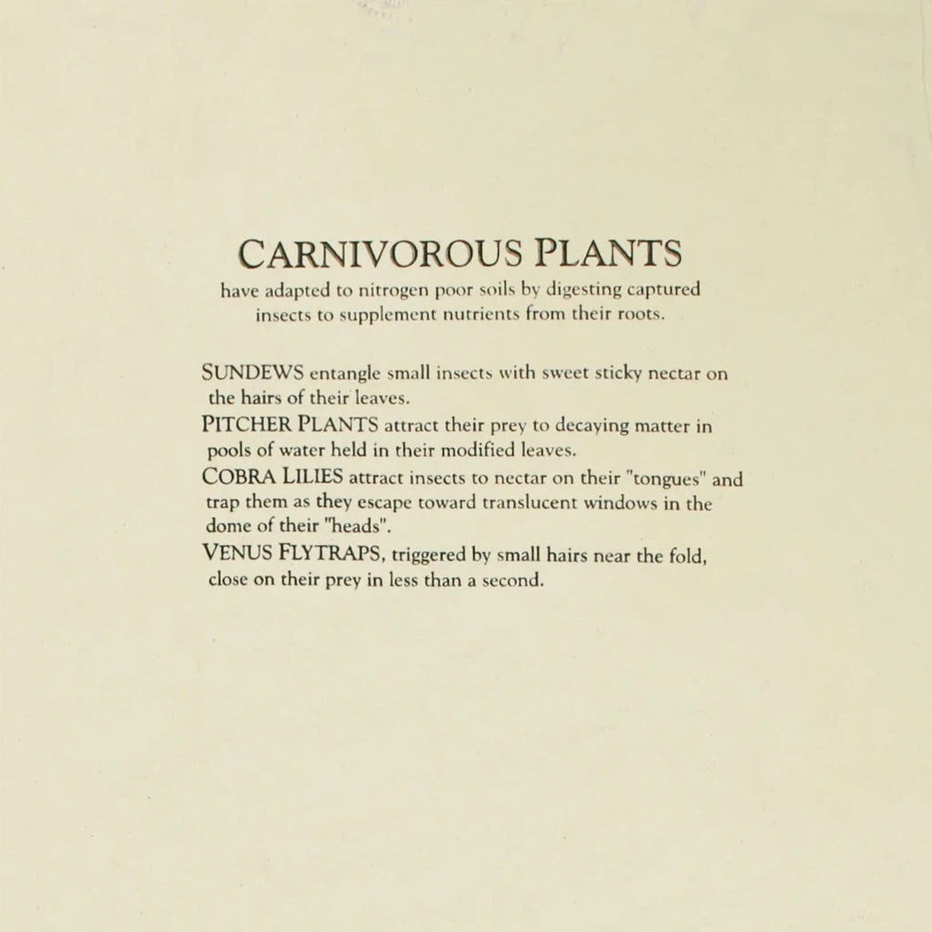 Liberty Graphics Carnivorous Plants Short Sleeve T-Unisex - Clothing - Tops-Appalachian Outfitters