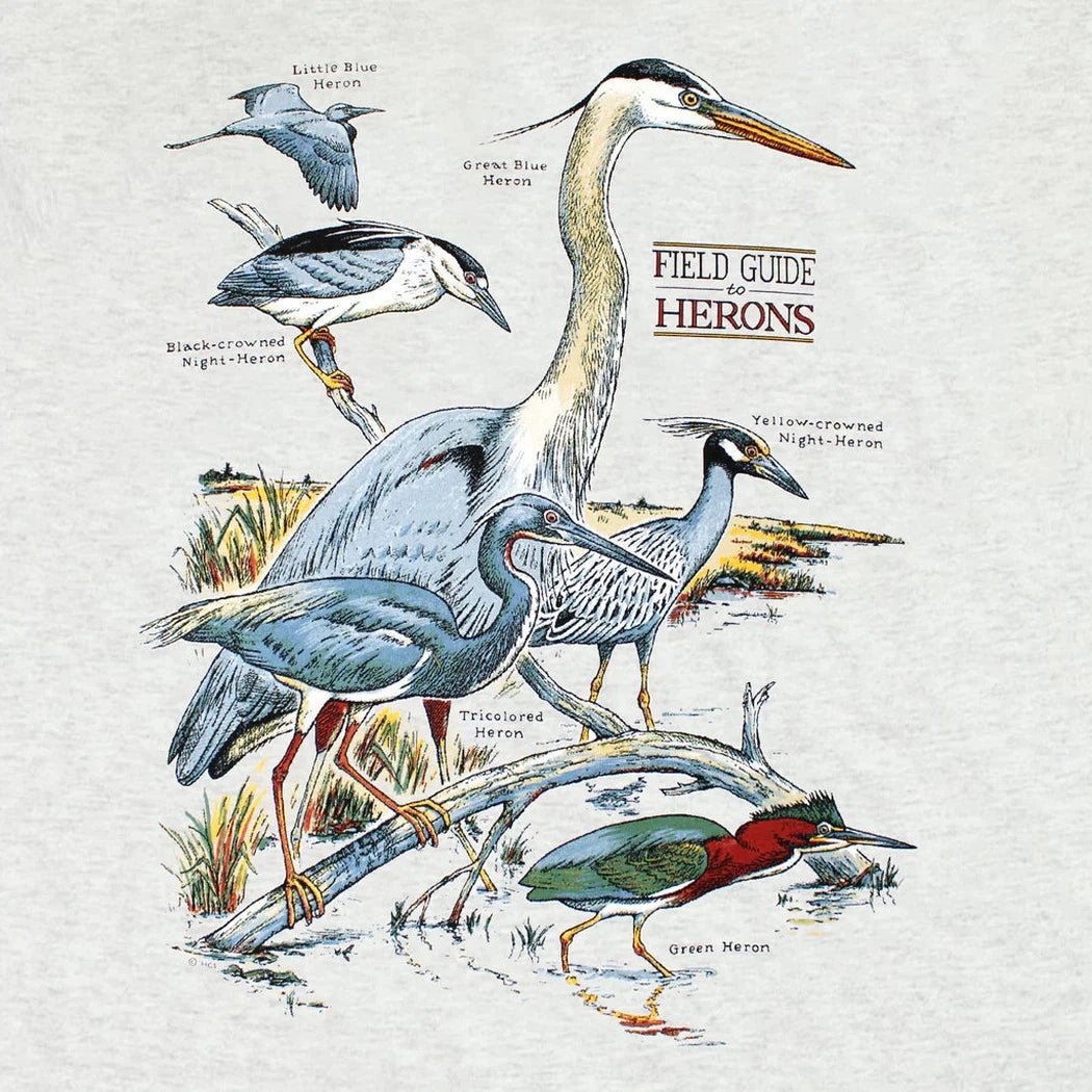 Liberty Graphics Field Guide To Herons Short Sleeve T-Unisex - Clothing - Tops-Appalachian Outfitters