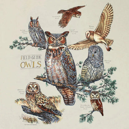 Liberty Graphics Field Guide To Owls Short Sleeve T-Unisex - Clothing - Tops-Appalachian Outfitters