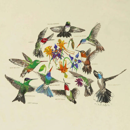 Liberty Graphics Hummingbirds Short Sleeve T-Unisex - Clothing - Tops-Appalachian Outfitters
