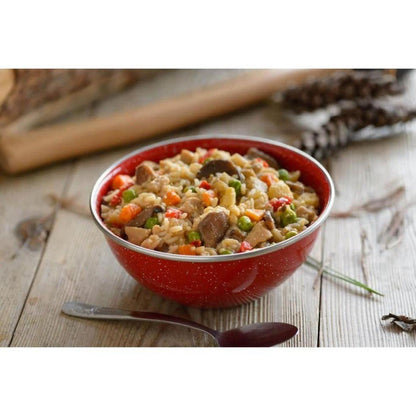 Mountain House Chicken Fried Rice-Food - Backpacking-Appalachian Outfitters