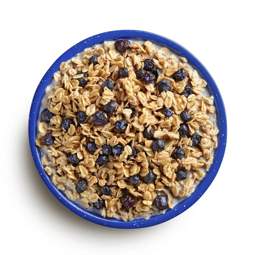 Mountain House Granola with Milk & Blueberries-Food - Backpacking-Appalachian Outfitters