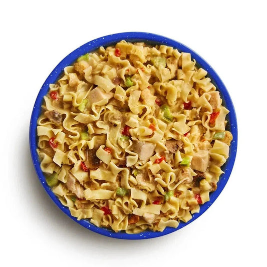 Mountain House Homestyle Chicken Noodle Casserole-Food - Backpacking-Appalachian Outfitters