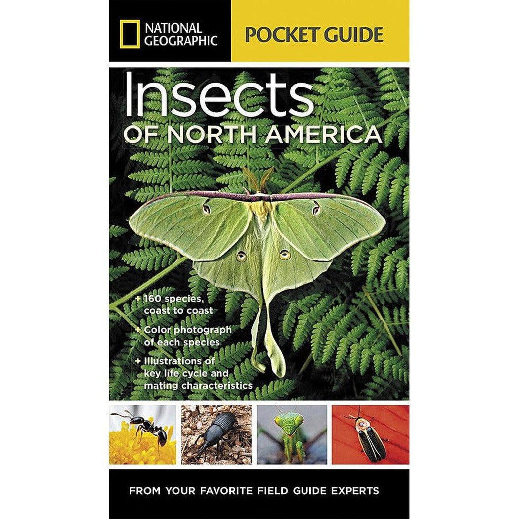 National Geographic Pocket Guide Insects of N.A.-Books - Books-Appalachian Outfitters