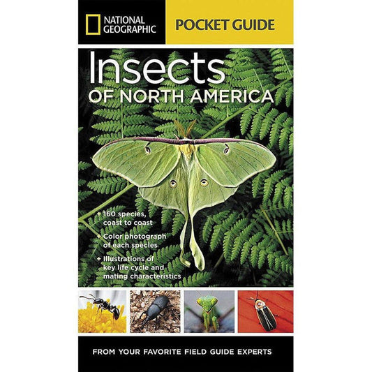 National Geographic Pocket Guide Insects of N.A.-Books - Books-Appalachian Outfitters