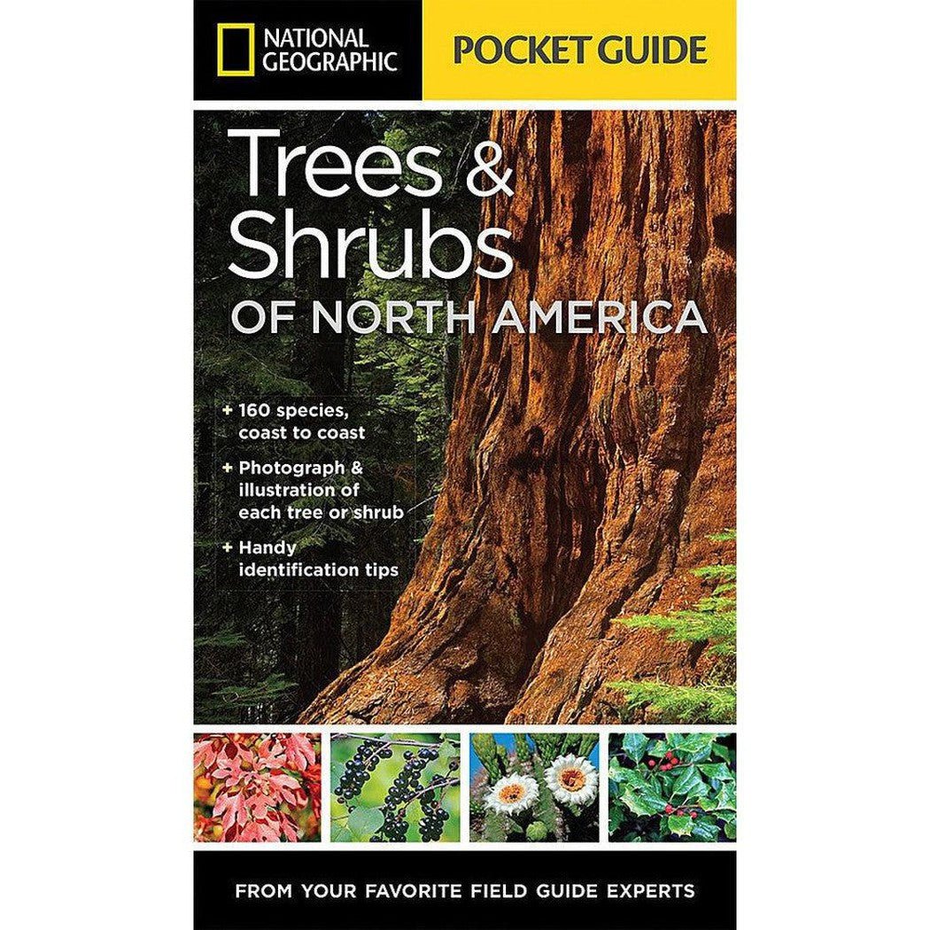 National Geographic Pocket Guide Trees & Shrubs of N.A.-Books - Books-Appalachian Outfitters