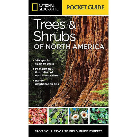 National Geographic Pocket Guide Trees & Shrubs of N.A.-Books - Books-Appalachian Outfitters