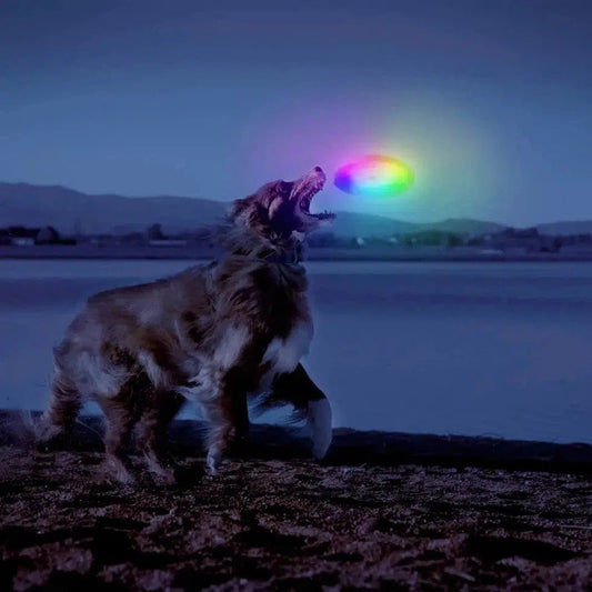 Nite Ize Flashflight Dog Discuit LED Flying Disc - Disc-O-Pets - Safety - Lights-Appalachian Outfitters