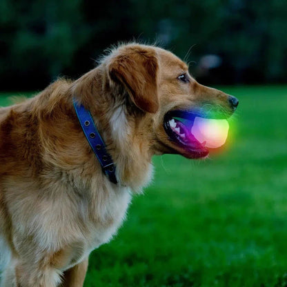 Nite Ize GlowStreak Wild LED Ball - Disc-O-Pets - Safety - Lights-Appalachian Outfitters