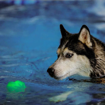 Nite Ize GlowStreak Wild LED Ball - Disc-O-Pets - Safety - Lights-Appalachian Outfitters