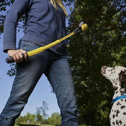A woman holds the yellow Nite Ize Huck 'n Tuck Collapsible Thrower with a tennis ball, while a Dalmatian looks up at her in a park with trees.