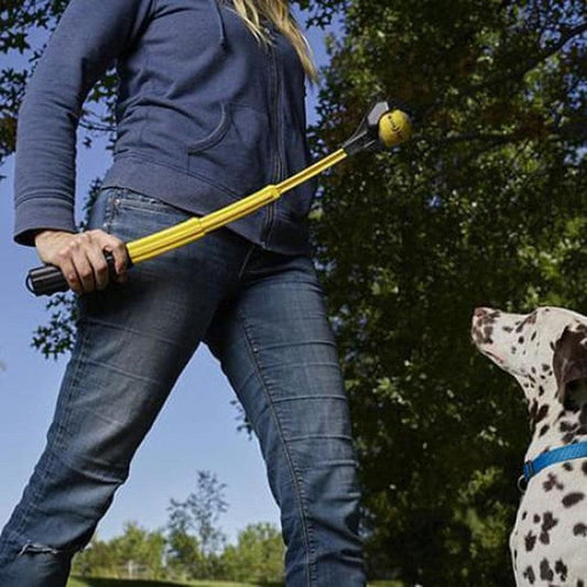 A woman holds the yellow Nite Ize Huck 'n Tuck Collapsible Thrower with a tennis ball, while a Dalmatian looks up at her in a park with trees.