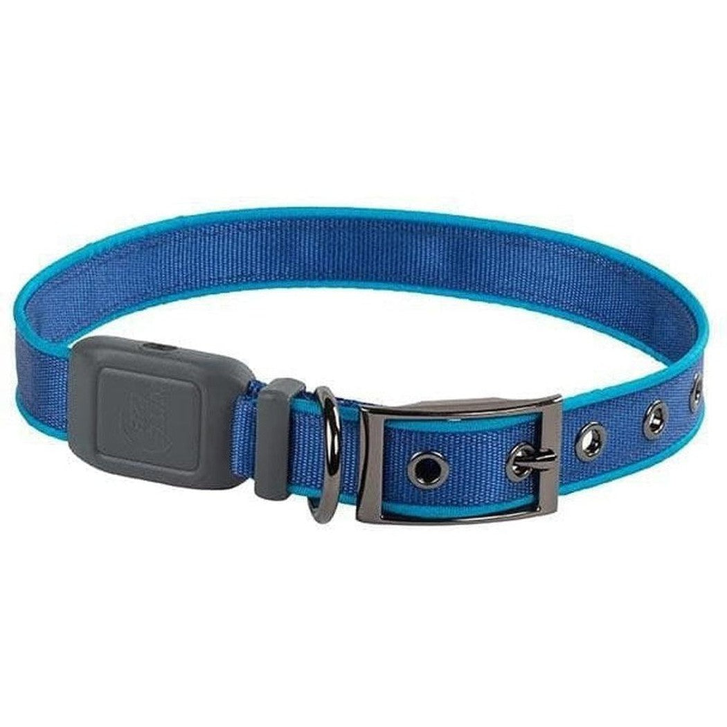 Blue/Blue LED Nite Ize Nitedog Rechargeable Led Collar shown from the front with a metal buckle and adjustable holes against a white background.