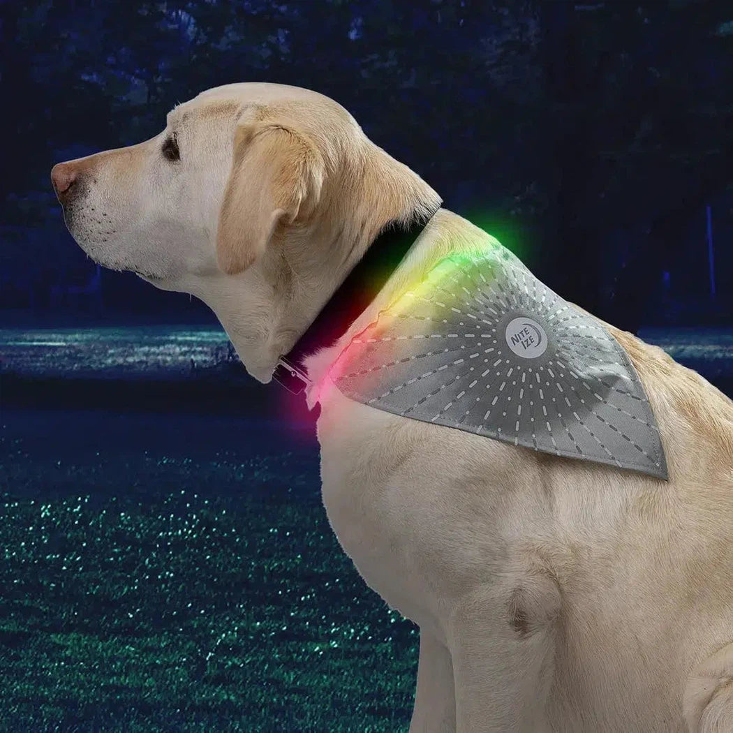 Nite Ize NiteHowl Bandana Rechargeable LED Safety Necklace - Disc-O Select-Pets - Safety - Lights-Appalachian Outfitters