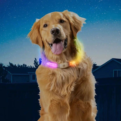Nite Ize NiteHowl Max Rechargeable LED Safety Necklace - Disc-O Select-Pets - Safety - Lights-Appalachian Outfitters
