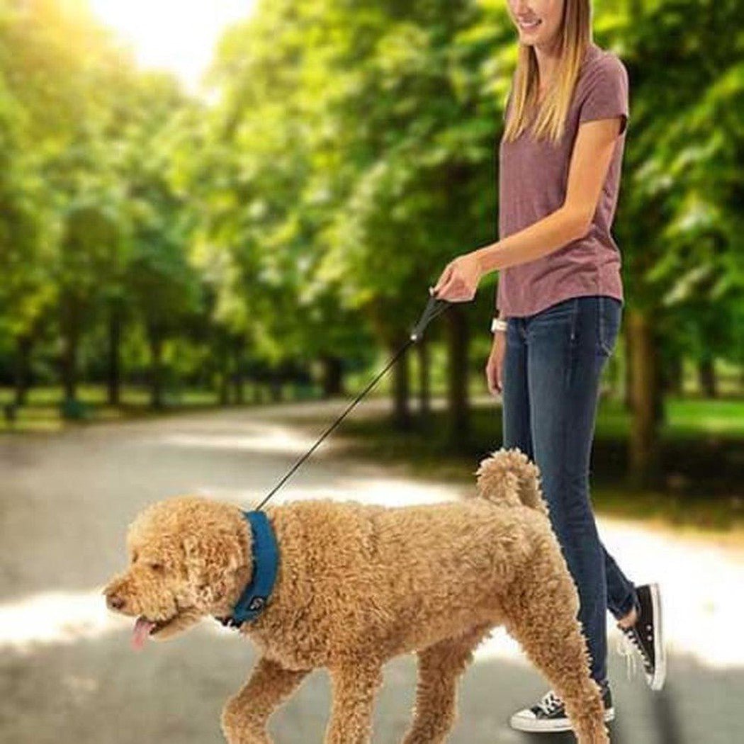 Nite Ize Raddog All-in-one Collar + Leash-Pets - Leashes-Appalachian Outfitters