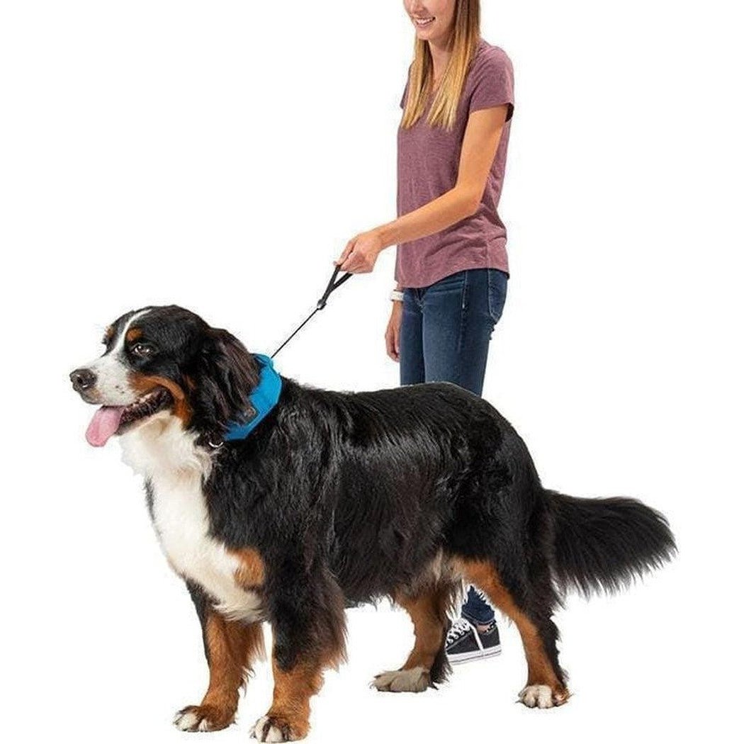 Nite Ize Raddog All-in-one Collar + Leash-Pets - Leashes-Appalachian Outfitters