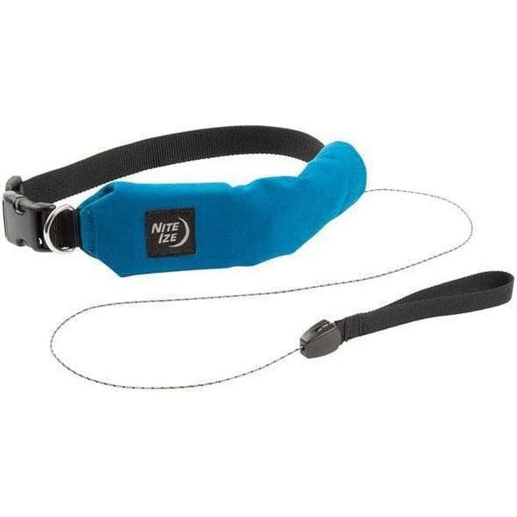 A blue Nite Ize Raddog All-in-one Collar + Leash with a black strap and metal buckle, shown against a white background.