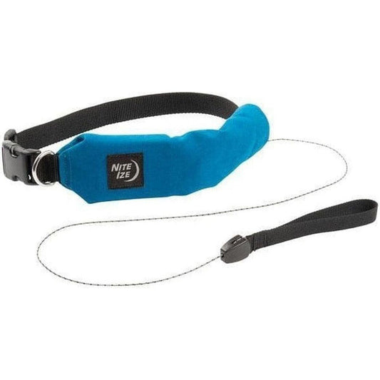 A blue Nite Ize Raddog All-in-one Collar + Leash with a black strap and metal buckle, shown against a white background.