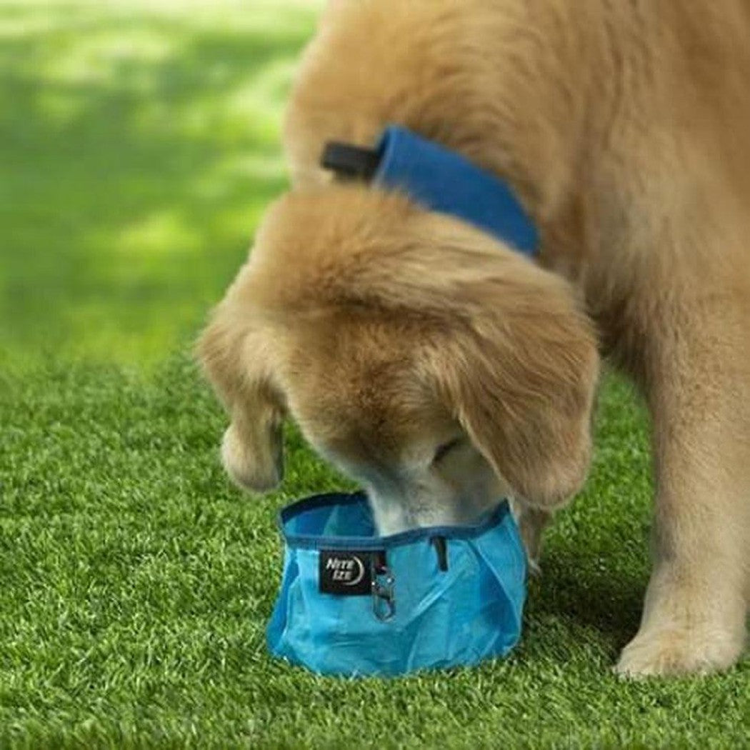 Nite Ize Raddog Collapsible Bowl-Pets - Bowls-Appalachian Outfitters