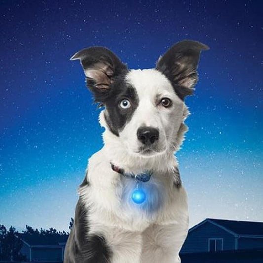 Nite Ize Spotlit Collar Light-Pets - Safety - Lights-Appalachian Outfitters
