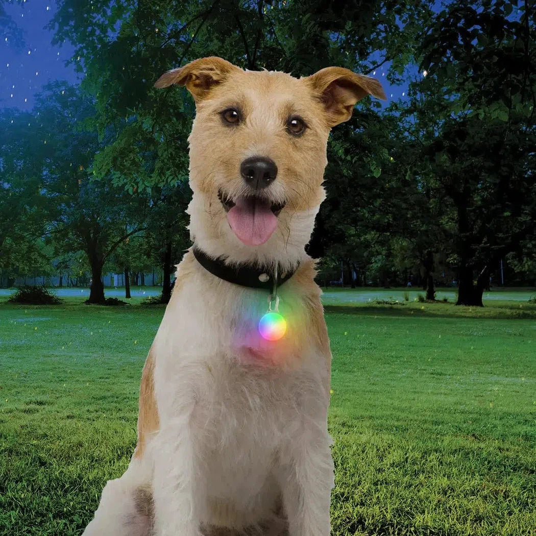 Nite Ize SpotLit Rechargeable Collar Light-Pets - Safety - Lights-Appalachian Outfitters