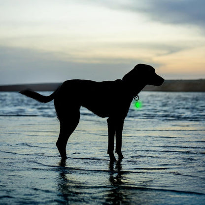 Nite Ize SpotLit Splash Waterproof Rechargeable Collar Light - Disc-O Select-Pets - Safety - Lights-Appalachian Outfitters