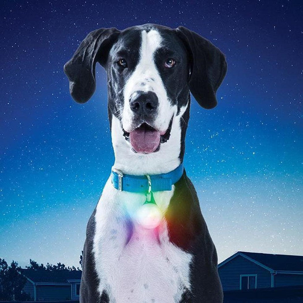 Nite Ize Spotlit Xl Rechargeable Collar Light-Pets - Safety - Lights-DiscO-Appalachian Outfitters