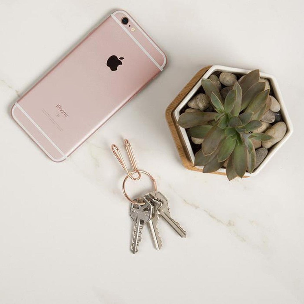 A top-down view of the Nite Ize SqueezeRing Easy Load Key Clip in Black next to a rose gold iPhone and a succulent in a hexagonal pot on a white surface.