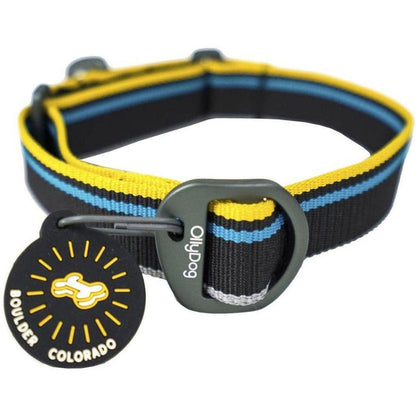 A close-up of the Olly Dog Martingale Mesa collar in Anthracite with a black buckle and a Boulder Colorado tag, photographed against a white background.