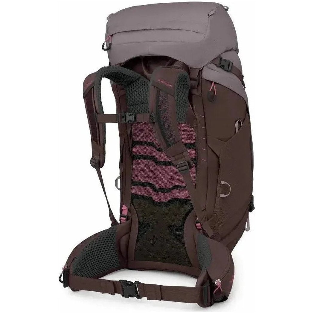 Back view of the Osprey Kyte LT 65 showing the padded back panel and hip belt against a white background.