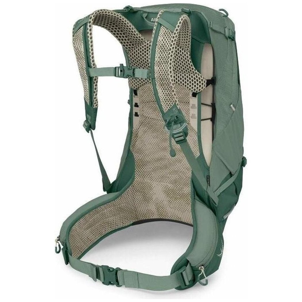 Back view of the Osprey Stratos 24 in Pine Leaf showing the breathable mesh back panel and hip belt against a white background.