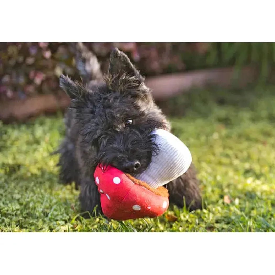 P.L.A.Y Blooming Buddies Mutt's Mushroom-Pets - Toys-Appalachian Outfitters